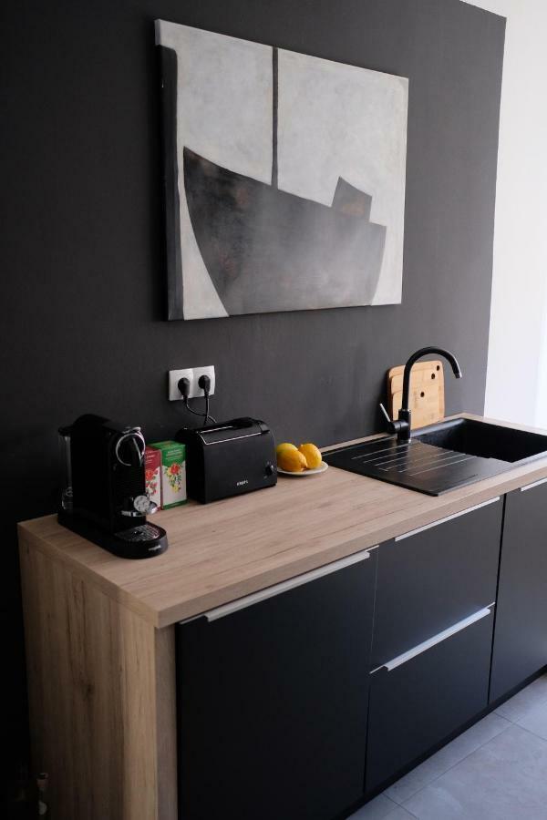 Luxury Old Town Apartment 普拉 外观 照片